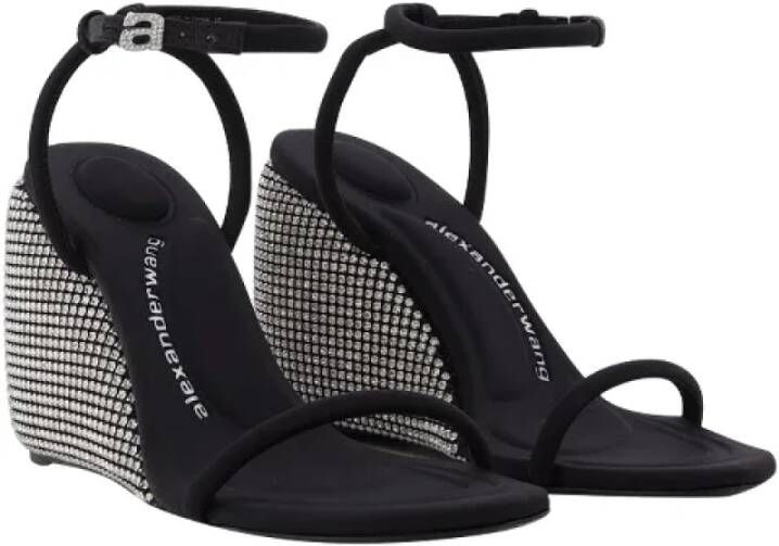 Alexander Wang Pre-owned Leather sandals Black Dames