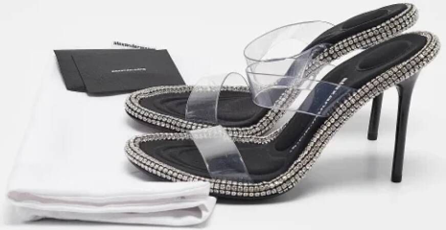 Alexander Wang Pre-owned Leather sandals Black Dames