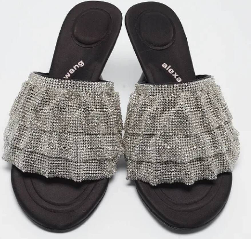 Alexander Wang Pre-owned Satin sandals Gray Dames