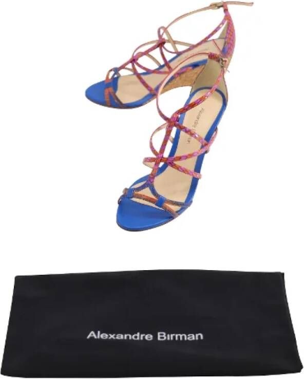 Alexandre Birman Pre-owned Leather sandals Multicolor Dames