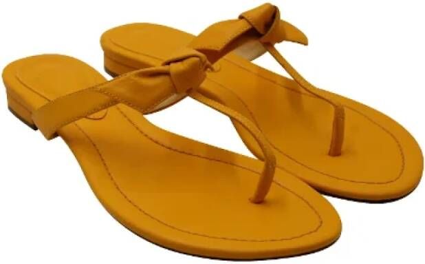 Alexandre Birman Pre-owned Leather sandals Yellow Dames