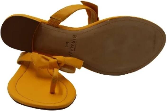 Alexandre Birman Pre-owned Leather sandals Yellow Dames