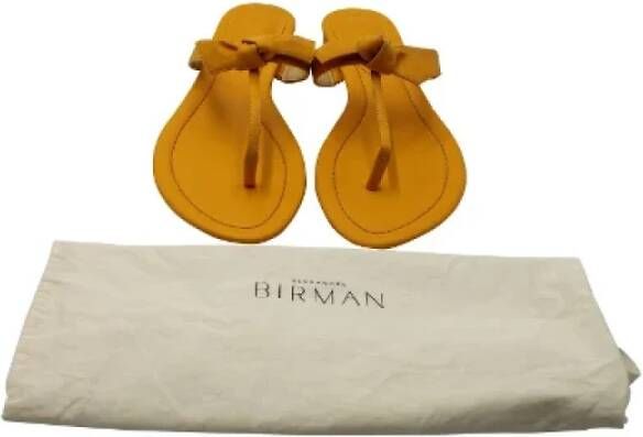 Alexandre Birman Pre-owned Leather sandals Yellow Dames