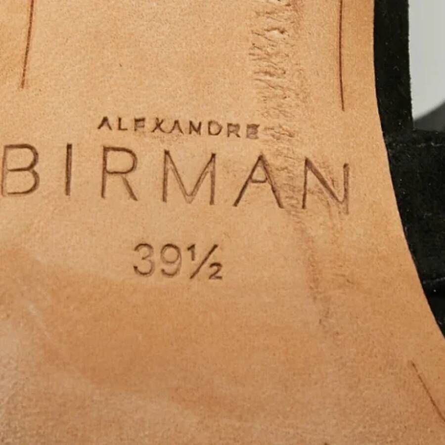 Alexandre Birman Pre-owned Suede sandals Black Dames