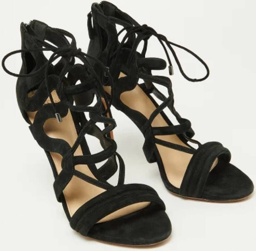 Alexandre Birman Pre-owned Suede sandals Black Dames