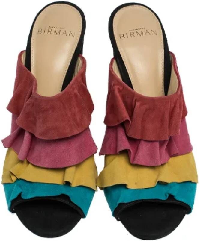 Alexandre Birman Pre-owned Suede sandals Multicolor Dames