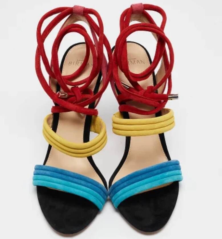 Alexandre Birman Pre-owned Suede sandals Multicolor Dames