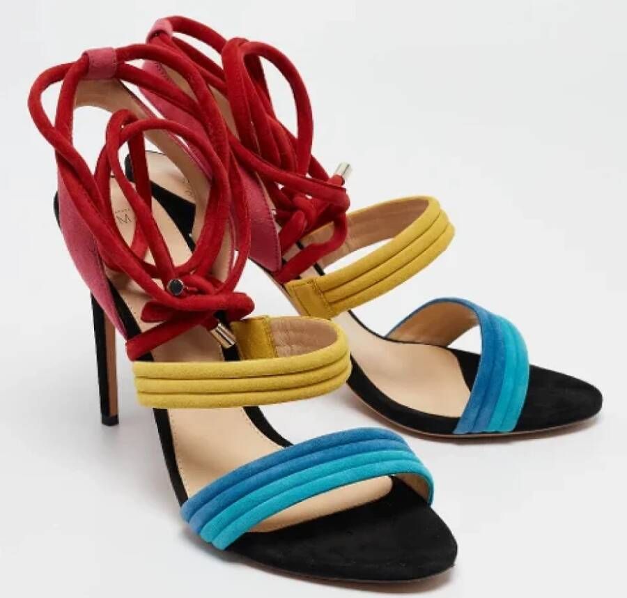 Alexandre Birman Pre-owned Suede sandals Multicolor Dames