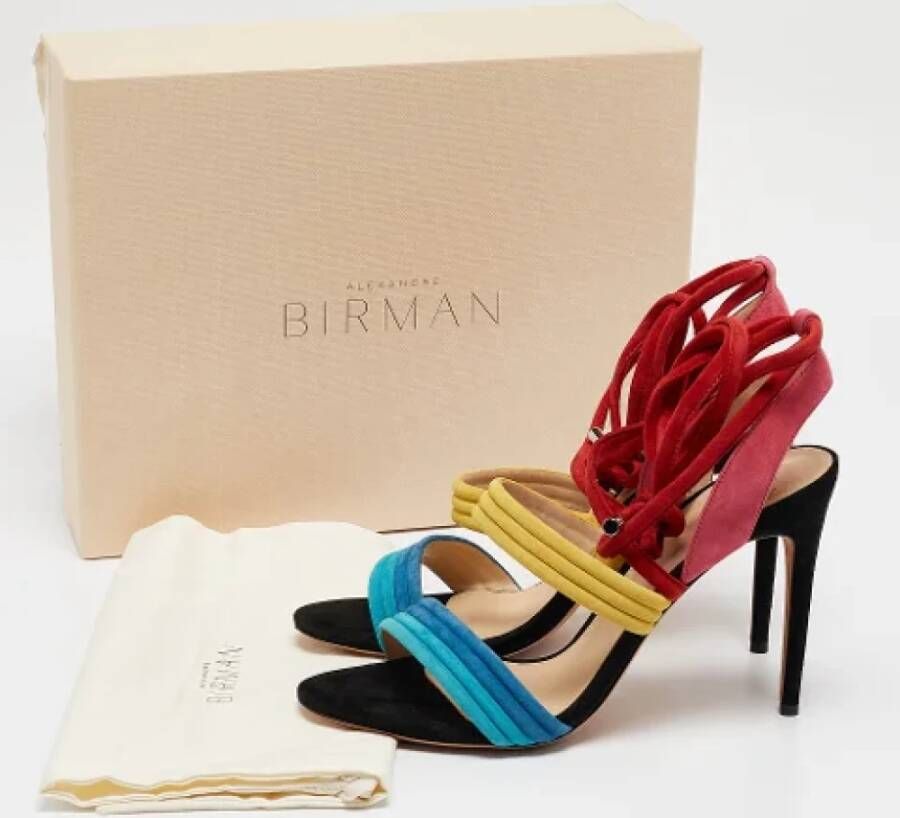 Alexandre Birman Pre-owned Suede sandals Multicolor Dames