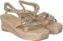 Alma en Pena Beige Casual Damessandalen met Hemp Sole Beige Dames - Thumbnail 6