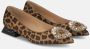 Alma en Pena Kristal Ballerina Flats Brown Dames - Thumbnail 2