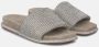 Alma en Pena Strass Strap Platte Sandaal Gray Dames - Thumbnail 2