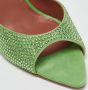 Amina Muaddi Pre-owned Suede sandals Green Dames - Thumbnail 6