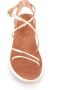 Ancient Greek Sandals Gouden leren sandalen met zijgesp Beige Dames - Thumbnail 3