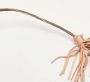 Aquazzura Pre-owned Suede sandals Beige Dames - Thumbnail 4