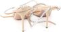 Aquazzura Pre-owned Suede sandals White Dames - Thumbnail 3