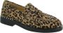 ASH Italia dames moccassins winona daim leopard - Thumbnail 4