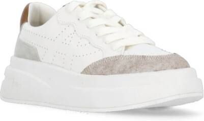 Ash Sneakers White Dames