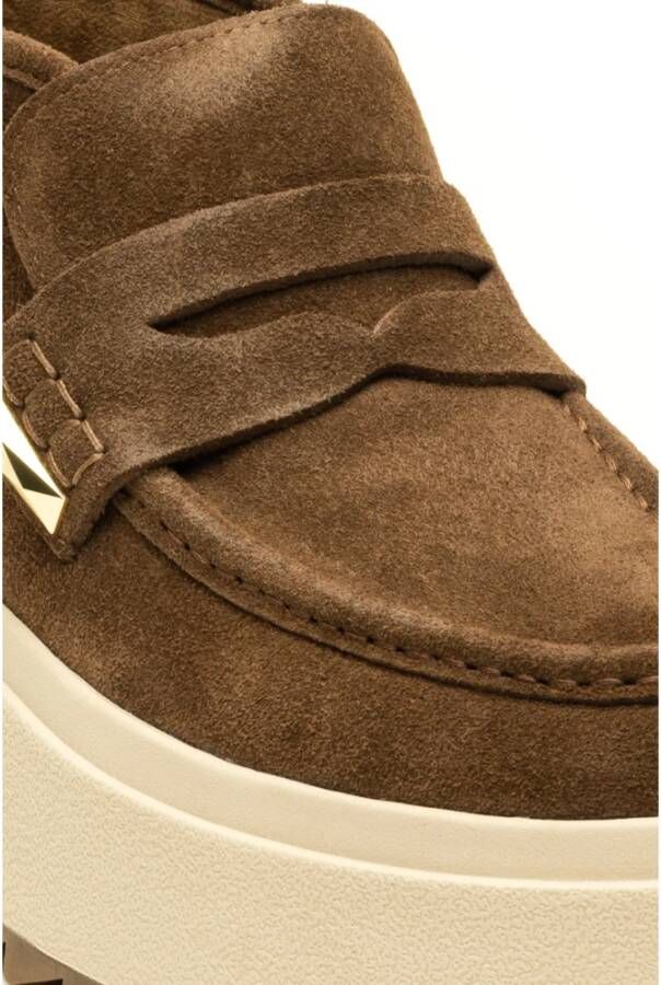 Ash Sport Sneakers in Bruin Brown Dames