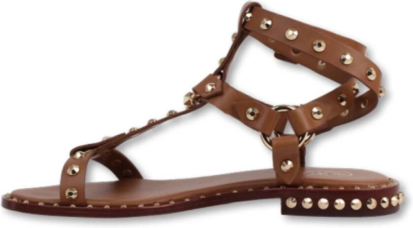 Ash Studded Gladiator Sandals Brown Dames