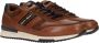 Australian Lage sneakers Filmon cognac blauw wit Brown Heren - Thumbnail 15