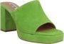 Bibi Lou Stijlvolle en Comfortabele Dames Platte Schoenen Green Dames - Thumbnail 15