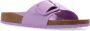 Birkenstock Madrid Big Buckle Slippers Purple Dames - Thumbnail 5