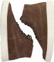 Blackstone RUBY EERO Saloon Sneaker (high) Man Dark brown - Thumbnail 6