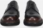 Calpierre Bruine Platte Derby Veterschoenen Brown Heren - Thumbnail 3