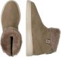 Candice Cooper Suede ankle boots Vela ZIP Gray Dames - Thumbnail 3