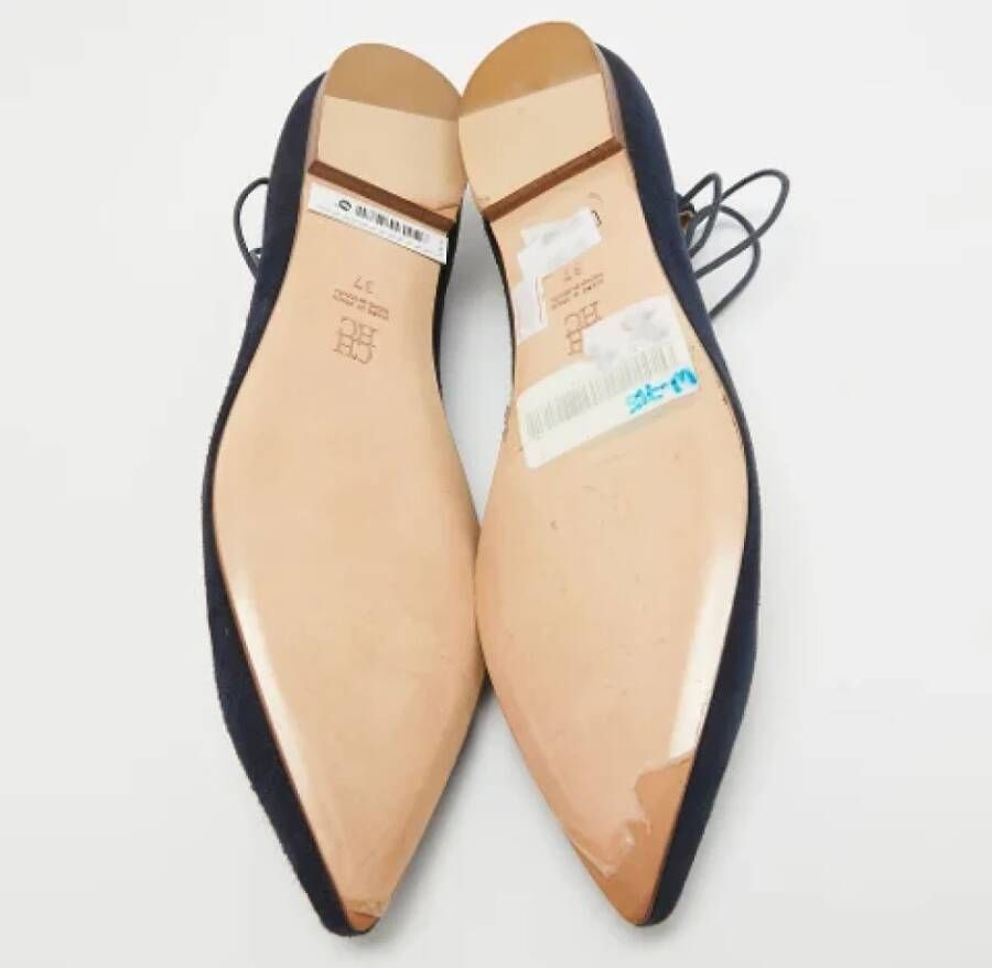 Carolina Herrera Pre-owned Suede flats Blue Dames