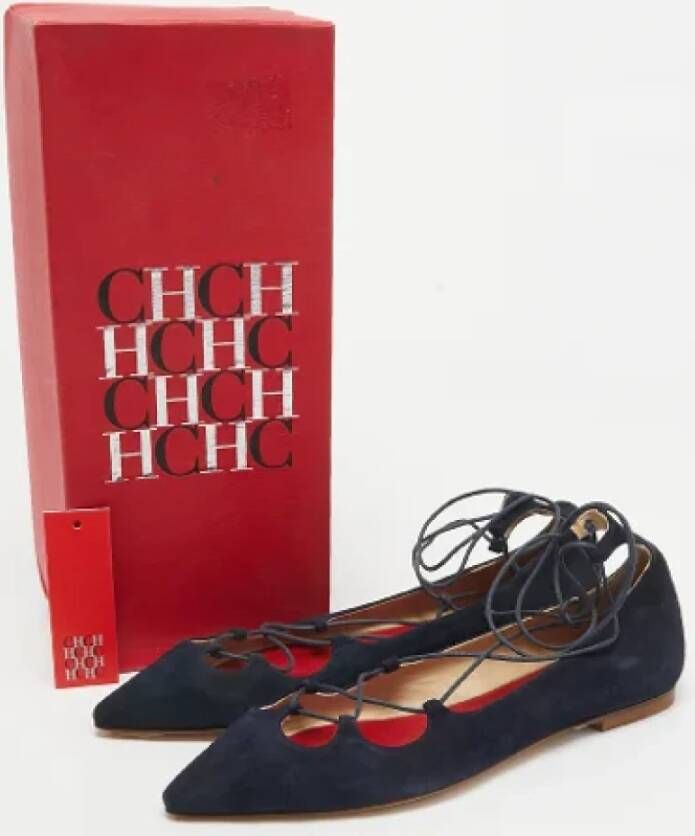 Carolina Herrera Pre-owned Suede flats Blue Dames