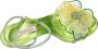 Casadei Sandalen Groen Green Dames - Thumbnail 6