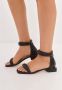 Cesare Gaspari Luxe Block Heel Sandalen Zwart Black Dames - Thumbnail 4