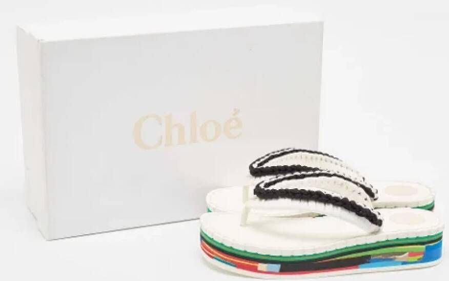 Chloé Pre-owned Fabric sandals Black Dames