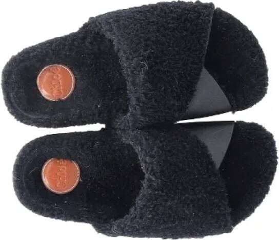 Chloé Pre-owned Fur sandals Black Dames