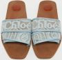 Chloé Pre-owned Leather flats Blue Dames - Thumbnail 3