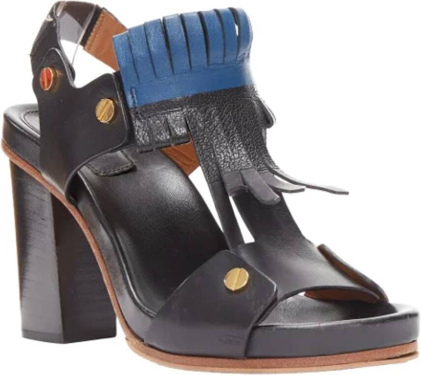 Chloé Pre-owned Leather heels Black Dames