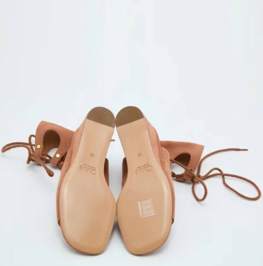 Chloé Pre-owned Suede sandals Brown Dames