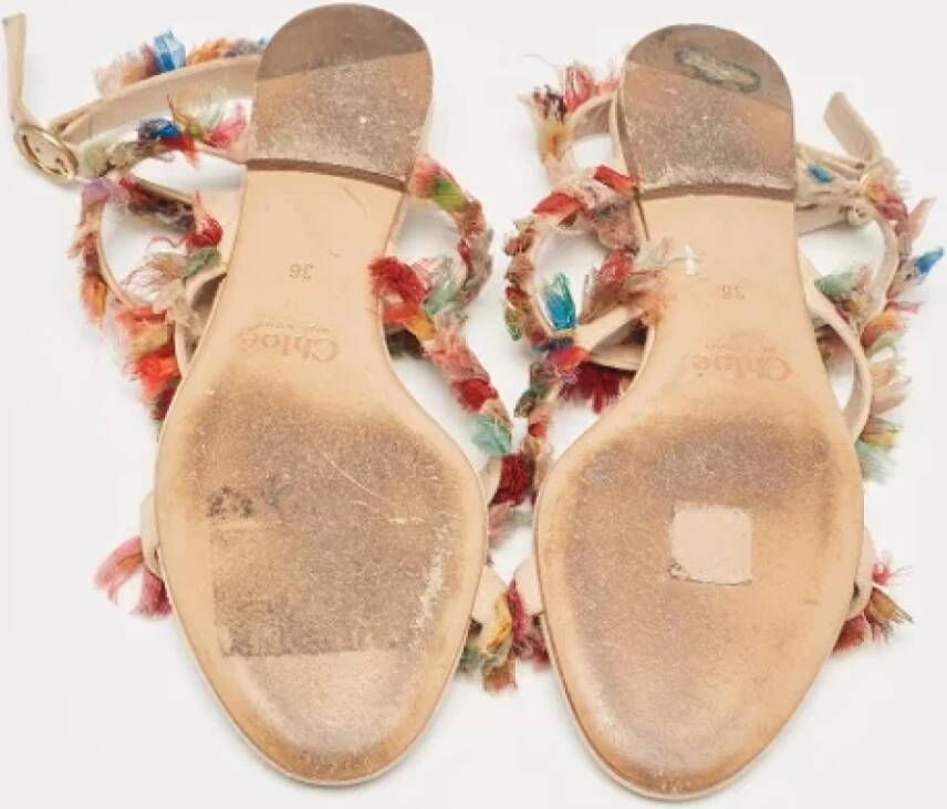 Chloé Pre-owned Suede sandals Multicolor Dames