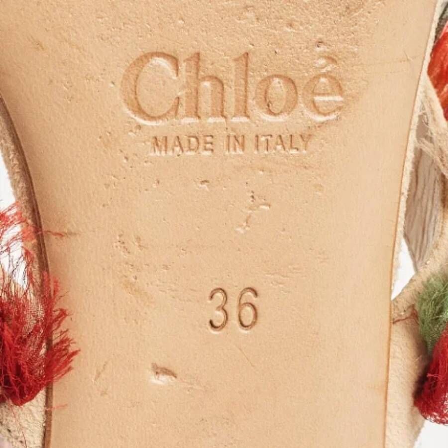 Chloé Pre-owned Suede sandals Multicolor Dames