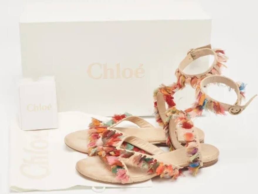 Chloé Pre-owned Suede sandals Multicolor Dames