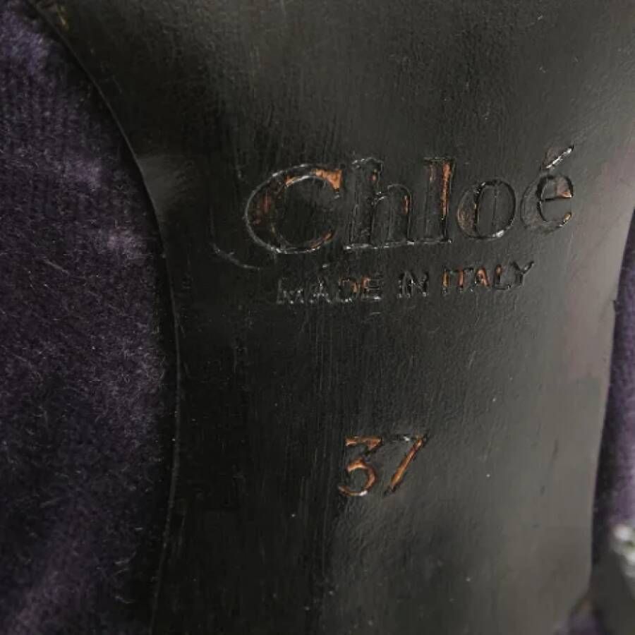 Chloé Pre-owned Velvet heels Purple Dames