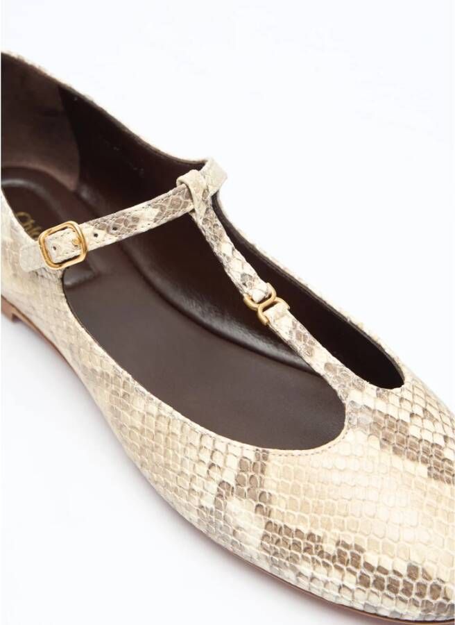 Chloé Python-Geëmbosseerde Leren Ballerina Flats Beige Dames