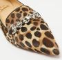 Christian Louboutin Pre-owned Fabric flats Brown Dames - Thumbnail 6