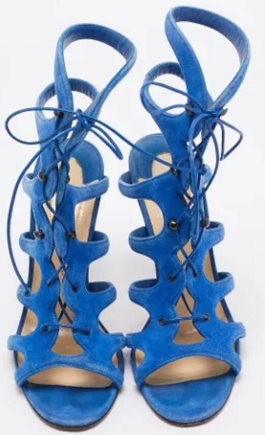 Christian Louboutin Pre-owned Suede sandals Blue Dames