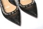 Christian Louboutin Zwart Zilveren Platte Puntige Schoen Black Dames - Thumbnail 8