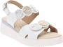 Cinzia Soft Dames Sandalen van Kunstleer met Gesp Sluiting White Dames - Thumbnail 2