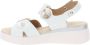 Cinzia Soft Dames Sandalen van Kunstleer met Gesp Sluiting White Dames - Thumbnail 5