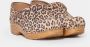 Dansko Beige Animal Print Instap Schoenen Brown Dames - Thumbnail 2